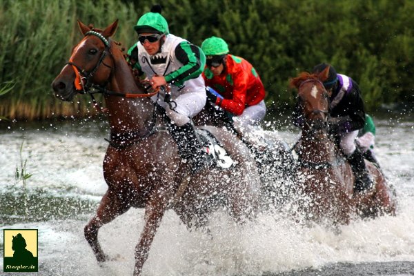 Storm of Swords unter Paul Johnson kommt als erster aus dem See #seejagdrennen #derbyhh