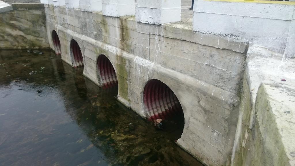 PabloJuradoEC's tweet photo. Inauguramos el puente en la comunidad 8 de Julio en Las Golondrinas #SomosVialidad #SomosImbabura https://t.co/PATOwoGgom