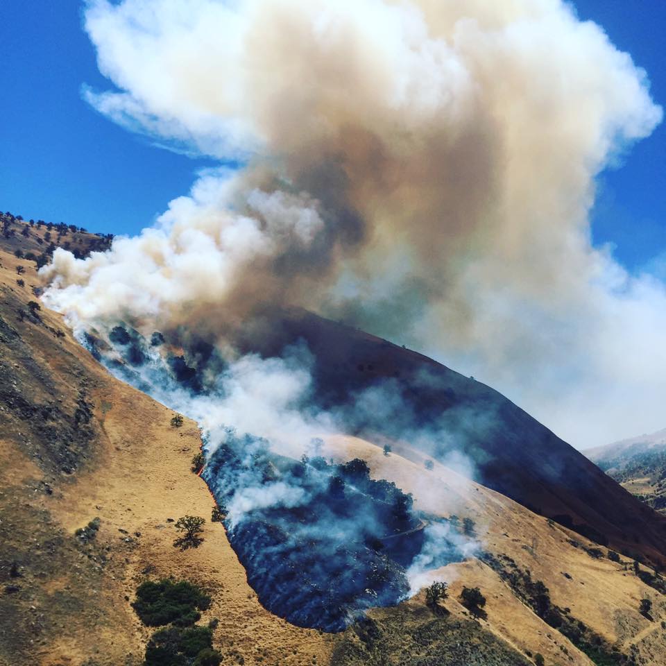CAL FIRE on Twitter: "Firefighters are battling a 200 acre wildfire off