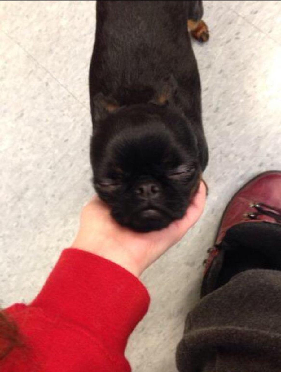 When someone plays with my hair