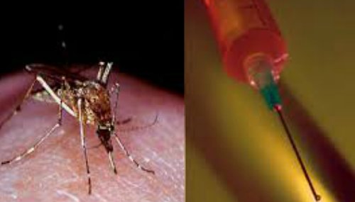 Uberarabic's tweet image. العلماء اليابانيين يدرسون تشريح البعوض ليتمكنوا من تقليدها في صنع إبرة لا تؤلمك عن استخدامها!