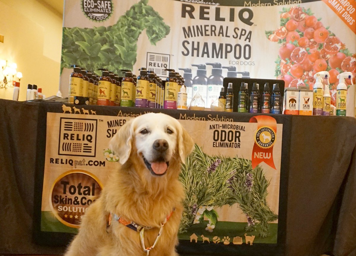 GoldenWoofs's tweet photo. #FlashbackFriday #BlogPaws Woofs for refreshing #dogbath w/ @ReliqPet Nano-Enhanced Volcanic Minerals https://t.co/HWAuaSpi5g