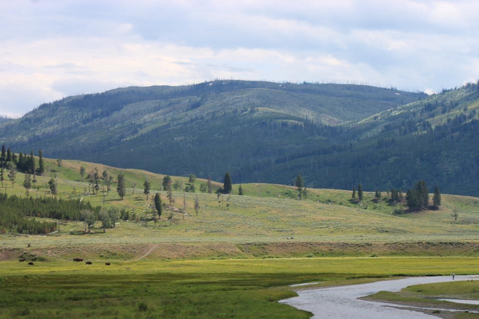 zachpearson8's tweet image. 