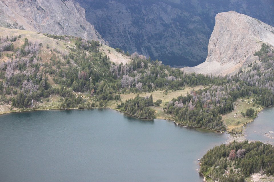 zachpearson8's tweet image. 