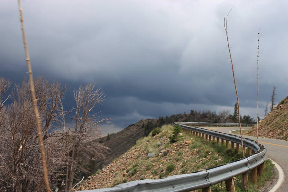 zachpearson8's tweet image. 