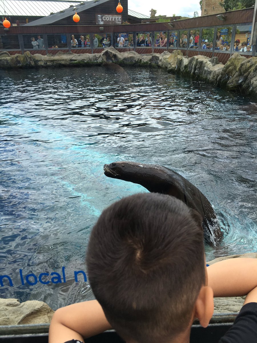 MissPenroseDPS's tweet photo. More fun from the Zoo with Year 2 @DersPrimary @ColchesterZoo https://t.co/7D7iBthwCv