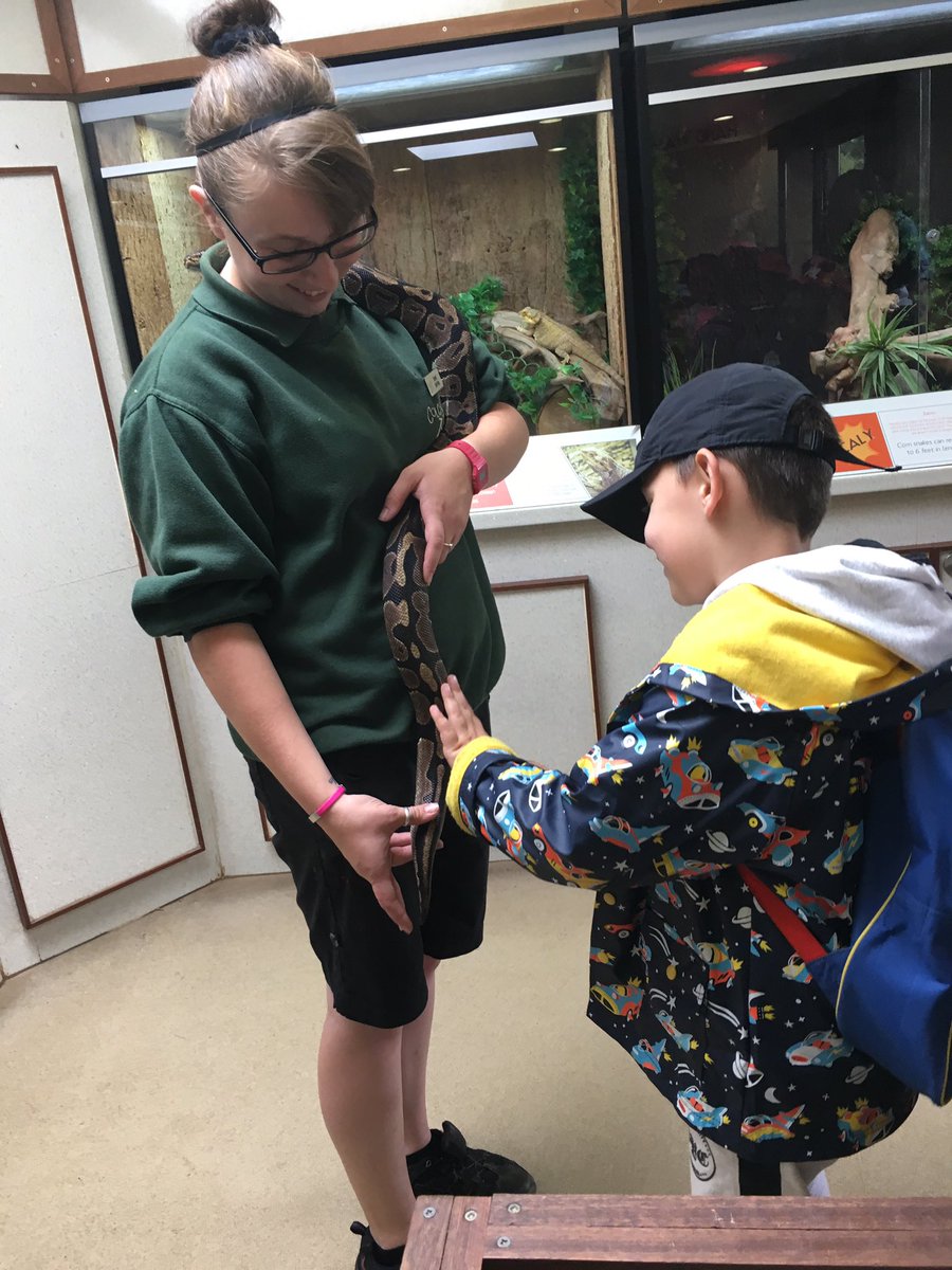 MissPenroseDPS's tweet photo. More fun from the Zoo with Year 2 @DersPrimary @ColchesterZoo https://t.co/7D7iBthwCv