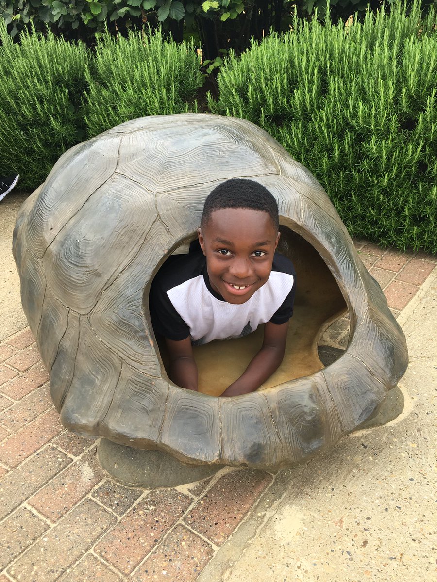 MissPenroseDPS's tweet photo. More fun from the Zoo with Year 2 @DersPrimary @ColchesterZoo https://t.co/7D7iBthwCv