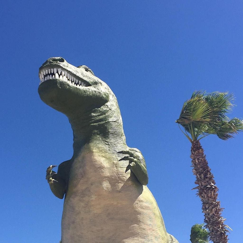 Don't worry if you see this guy watching you on the freeway in #Cabazon. He looks pretty well fed. @cabazondinosaur…