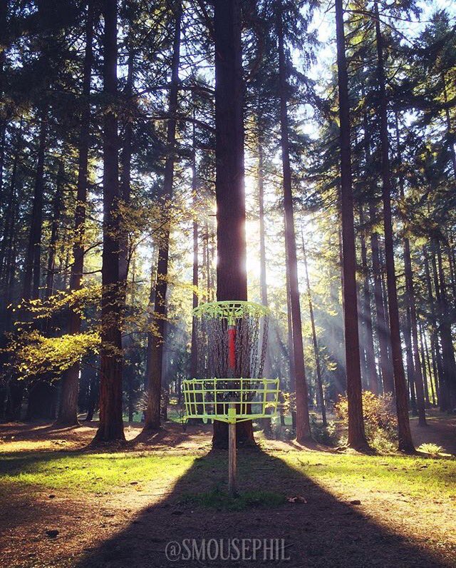 MindBodyDisc's tweet photo. It's Friday! Time for some #MBDFridayFeature pics! Follow these folks on Instagram! #discgolf #discgolfpics https://t.co/VrcINSBBSn
