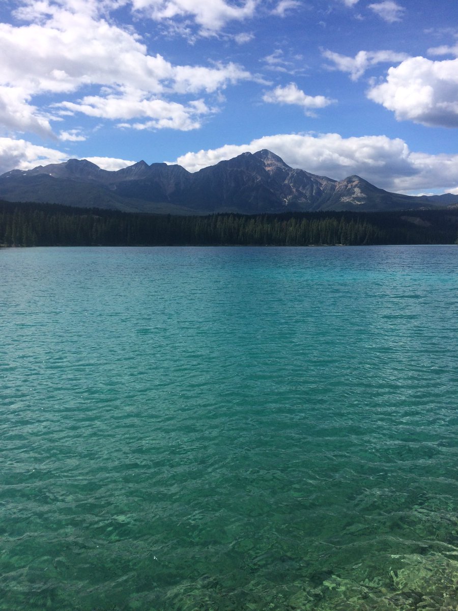 Condors's tweet photo. The coaches had a great time this week at #OilersCamp in beautiful Jasper. 🏞⛳️🌳 https://t.co/s2vFMGz8Pc