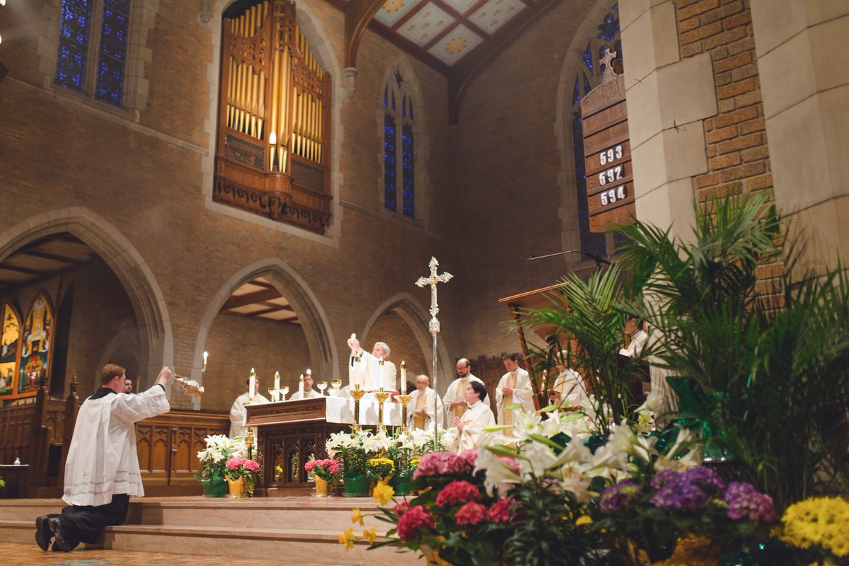 shmsdetroit's tweet photo. We are hosing a @DetroitMassMob this Sunday at Sacred Heart.  Help us spread the word. July 10 at 10am. https://t.co/9EEQ97N9gZ