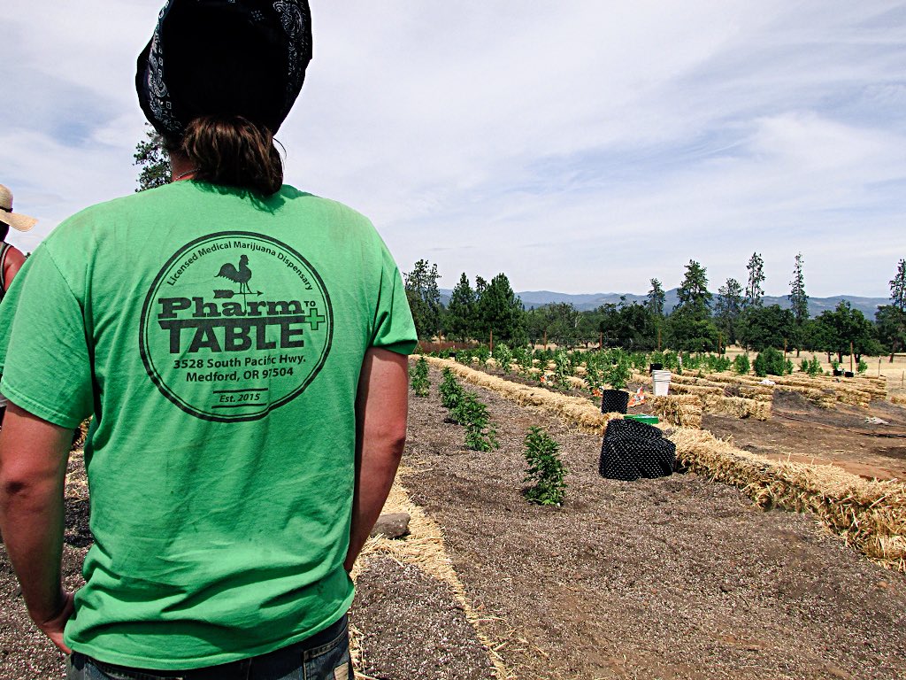 Atlas_Collectiv's tweet photo. Pharm life consists of really hard work and lots of dirt 🌲 @PharmToTableOR #oregrown #organic #medicine #greenlife https://t.co/GC11uMZCa5