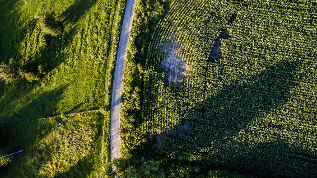 ronaldlitwa's tweet photo. #drone #dji #phantom3 #nature #road #roniuphotovideo #droniu https://t.co/YNoKnbpq67