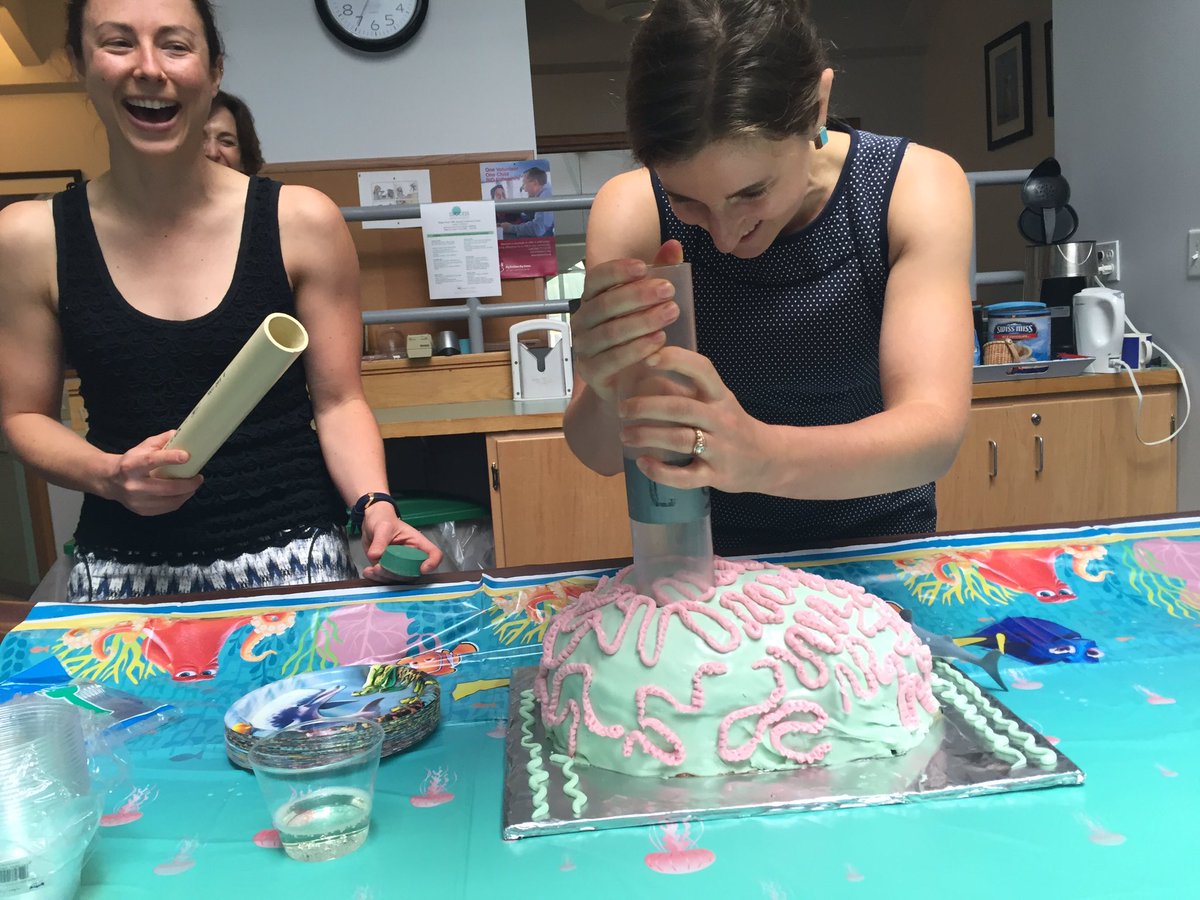 jvanderhoop's tweet photo. Congrats to Dr. @alicealpert! Coring a brain coral cake by @LexFischer @goodnesglaciers and @kathleenpitz! #phdcake https://t.co/Or8Z2cLxvx