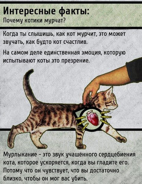 MartinMagnitski's tweet photo. https://t.co/TcKxwVt9b7