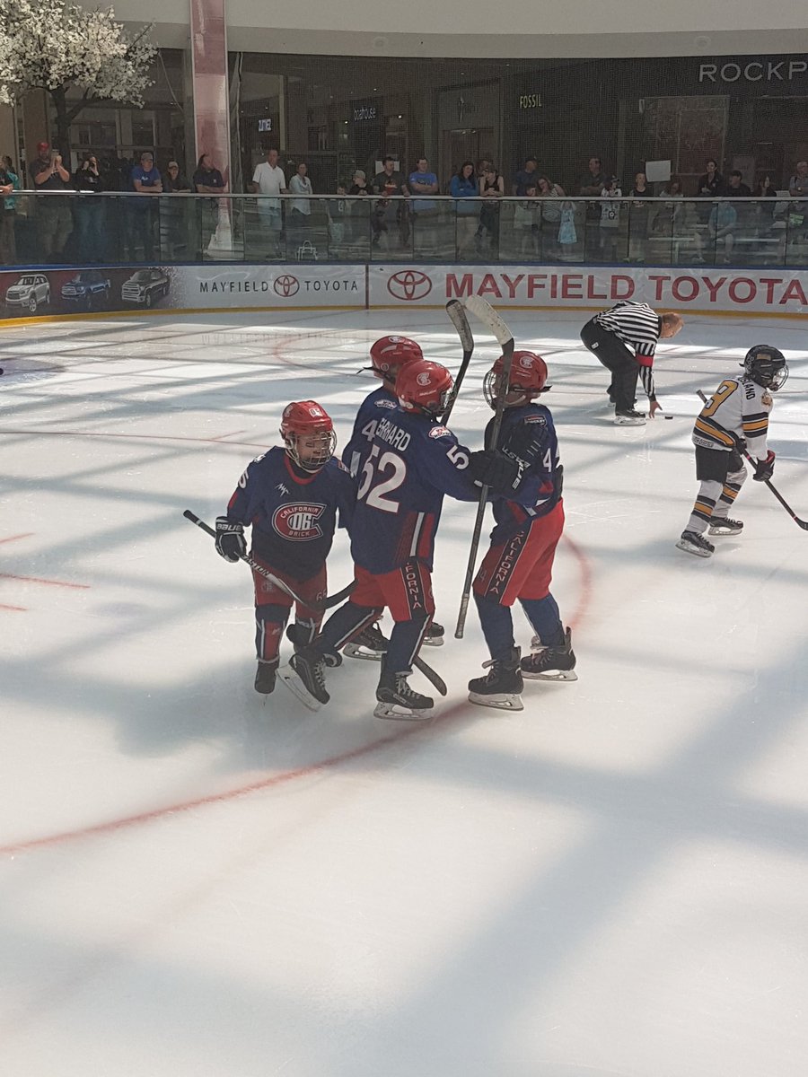 Brick Hockey tweet media