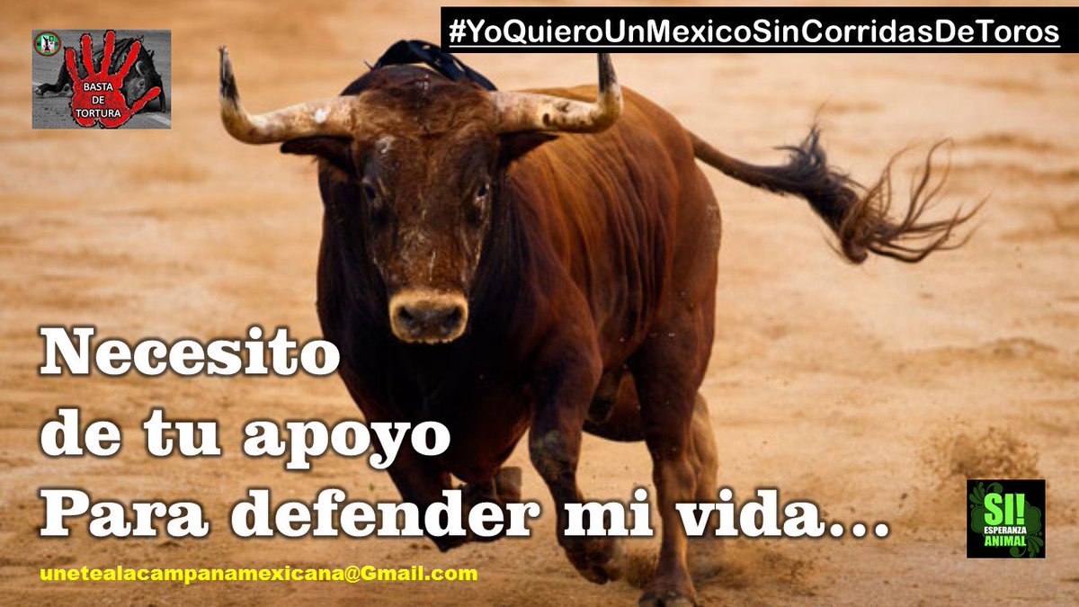 yogarju's tweet photo. #NoALaTorturaAnimal Ya basta de espectaculos con animales #NoMasCorridasDeToros @ManceraMiguelMX @072AvialCDMX https://t.co/giJs7UElsI