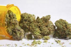 PiffShop_'s tweet photo. Medical Cannabis Therapy for Melanoma Being Developed at Australian University  #hightimes https://t.co/xNQLqgsLhr