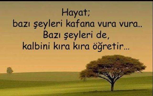 abd35596ea9447d's tweet photo. Şu  zamana kadar kafama  vura vura https://t.co/RIvPoY7KRK