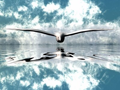 Rob Boerboom tweet media