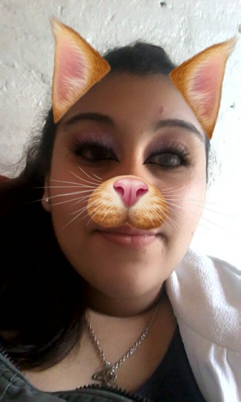 DarixaV's tweet photo. Miau miau jajajajajaja https://t.co/zC5rY7rEus