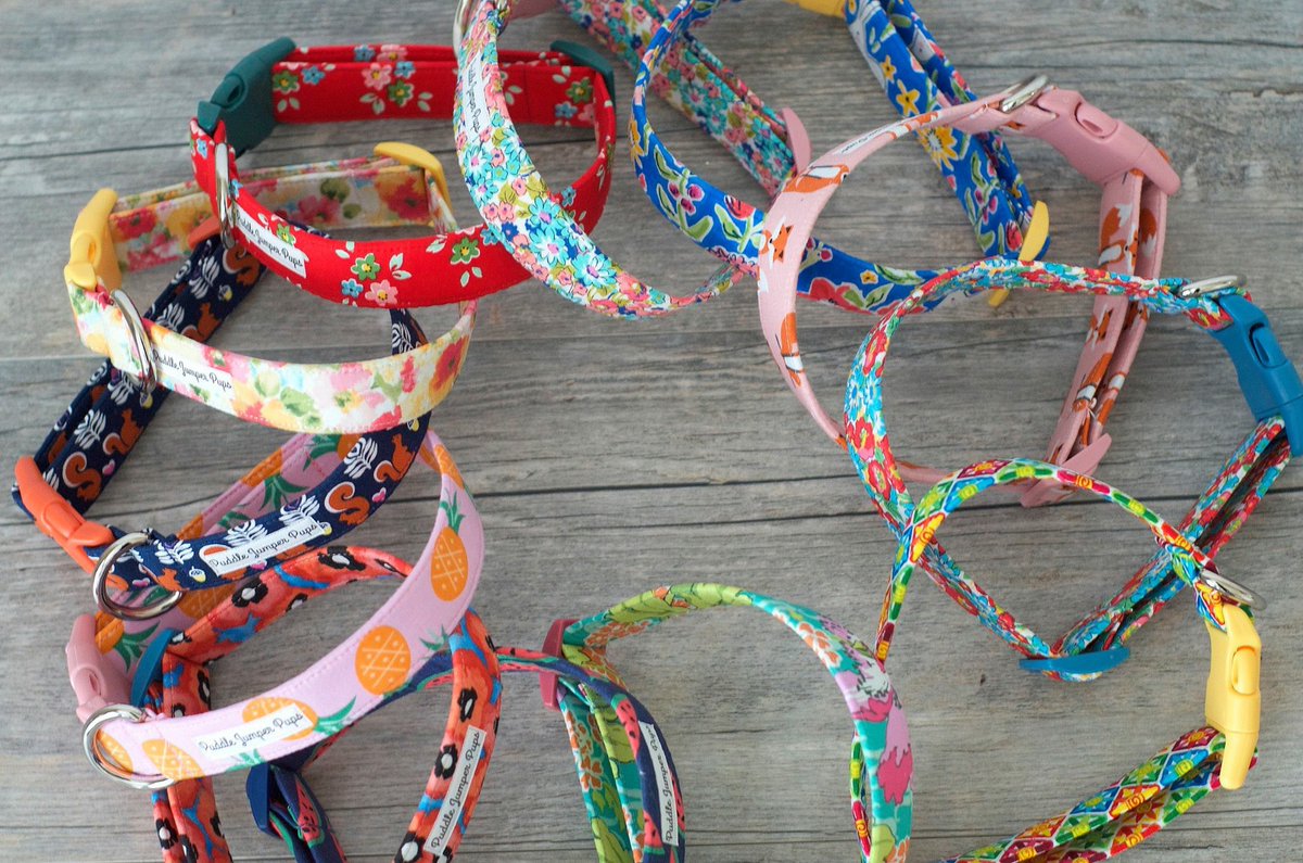 puddlejumperpup's tweet photo. Try adding extra personalization with a colored buckle! #PuddleJumperPups #PJP #DogDaysOfSummer #DogsOfTwitter https://t.co/y4hgSs50lx
