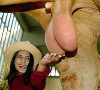 RealCFrampton's tweet image. Nothing to see here. Just a picture of a woman holding @SpecialKBrook balls