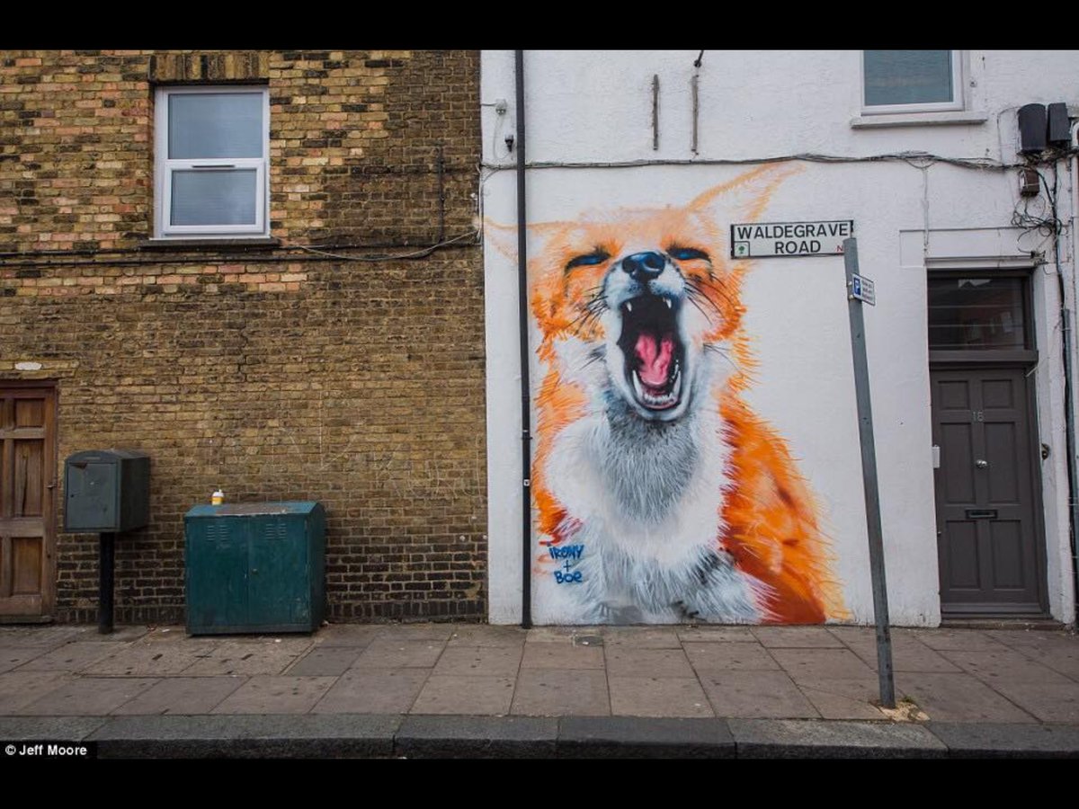 HoundsOff's tweet photo. Hounds Off Waldegrave Road
https://t.co/ILahISlrRP https://t.co/FhNroXsXZ2