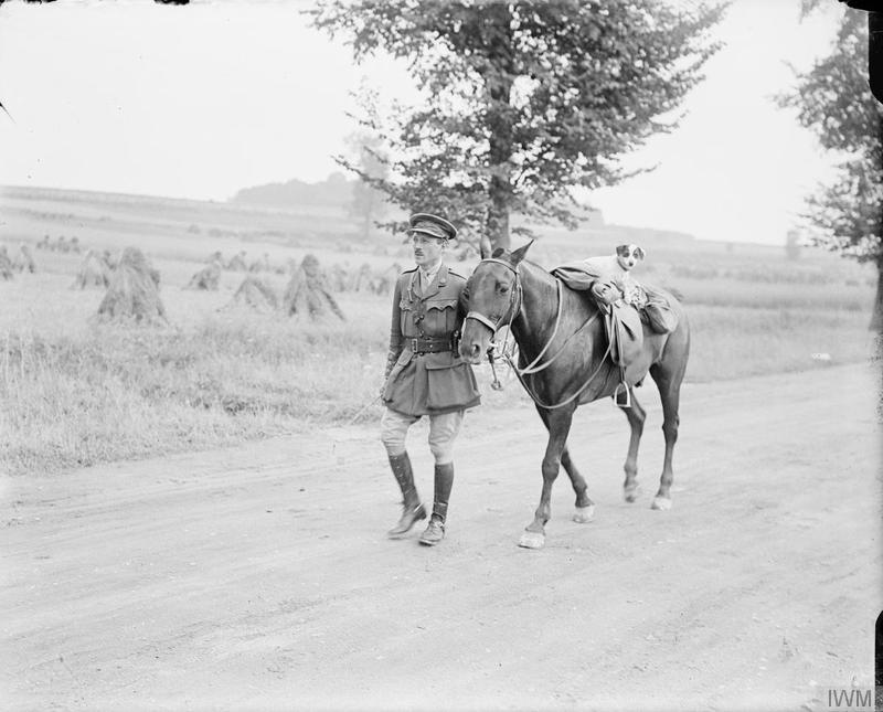 JLewisStempel's tweet photo. Love this photo too: British officer gives his dog a lift on his horse #FWW' #horses #dogs #WherePoppiesBlow https://t.co/3jGmXvpIR9