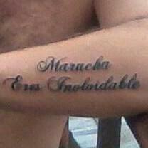 marialbertb tweet picture