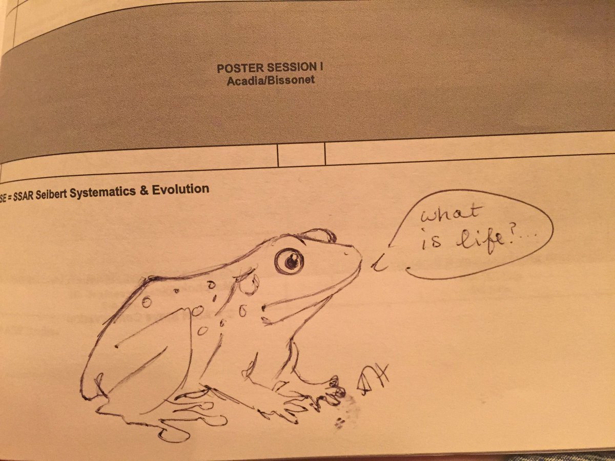 AnatLovesFrogs's tweet photo. When you think the person next to you is taking diligent notes, then you glance over #existentialfrog #JMIH16 https://t.co/pelLCR1eBk