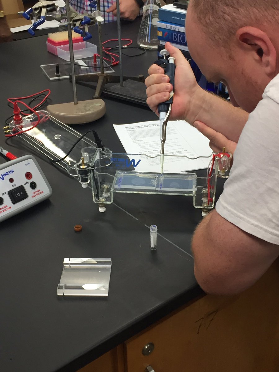 Coach_Woods10's tweet photo. Loading up gel electrophoresis #APTTI2016 https://t.co/7cn11y8ZnY