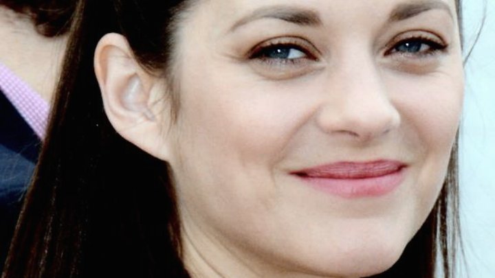 xmerylstreepx's tweet image. {M II}

Michelle Pfeiffer
Maggie Smith
Marion Cotillard
Michelle Williams