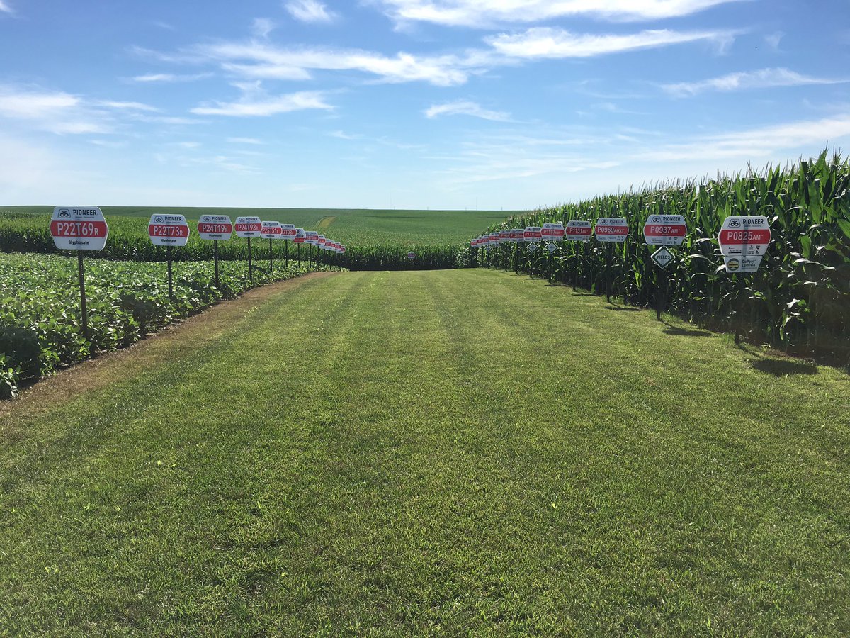 carver_gf's tweet image. #plot16 @benausdemore @AusKatie