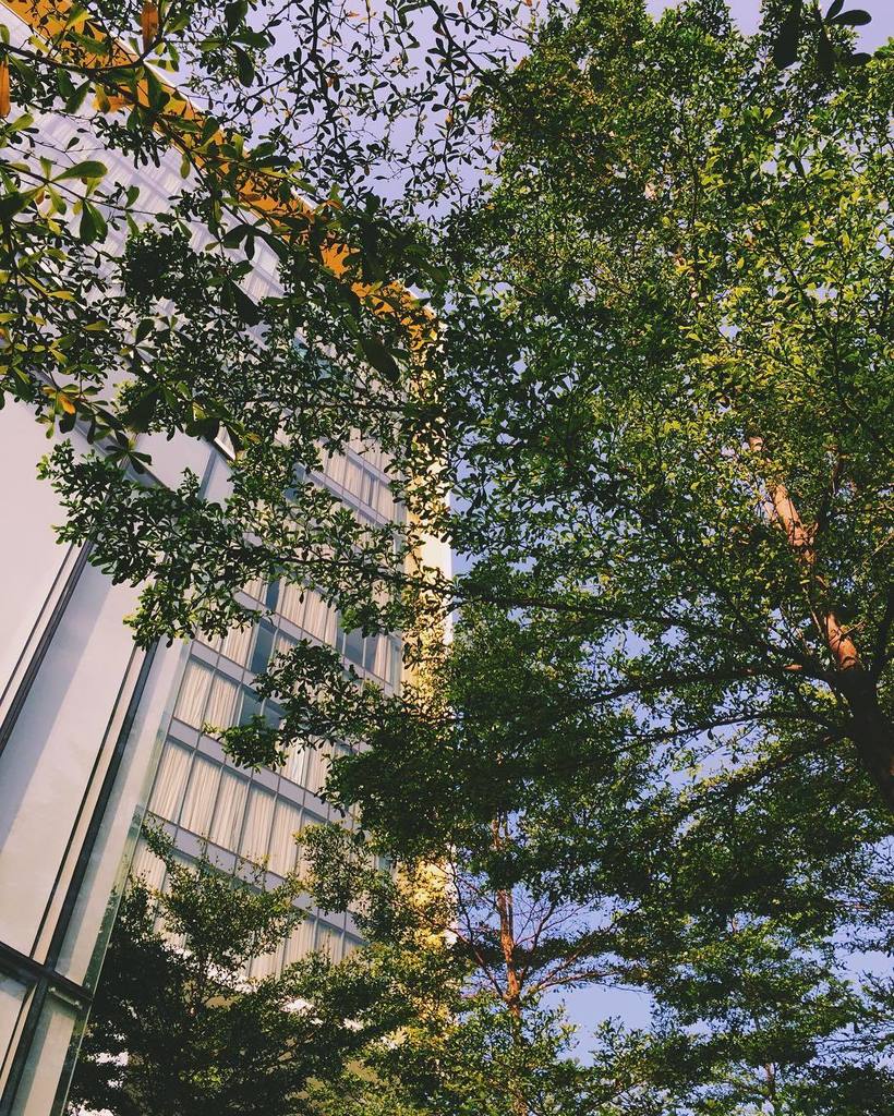 fadzari's tweet photo. One fine morning.
•
•
•
•
#VSCOcam #vscophile #vscoid #vsco #iwillbrb https://t.co/0yjtgcOxHP