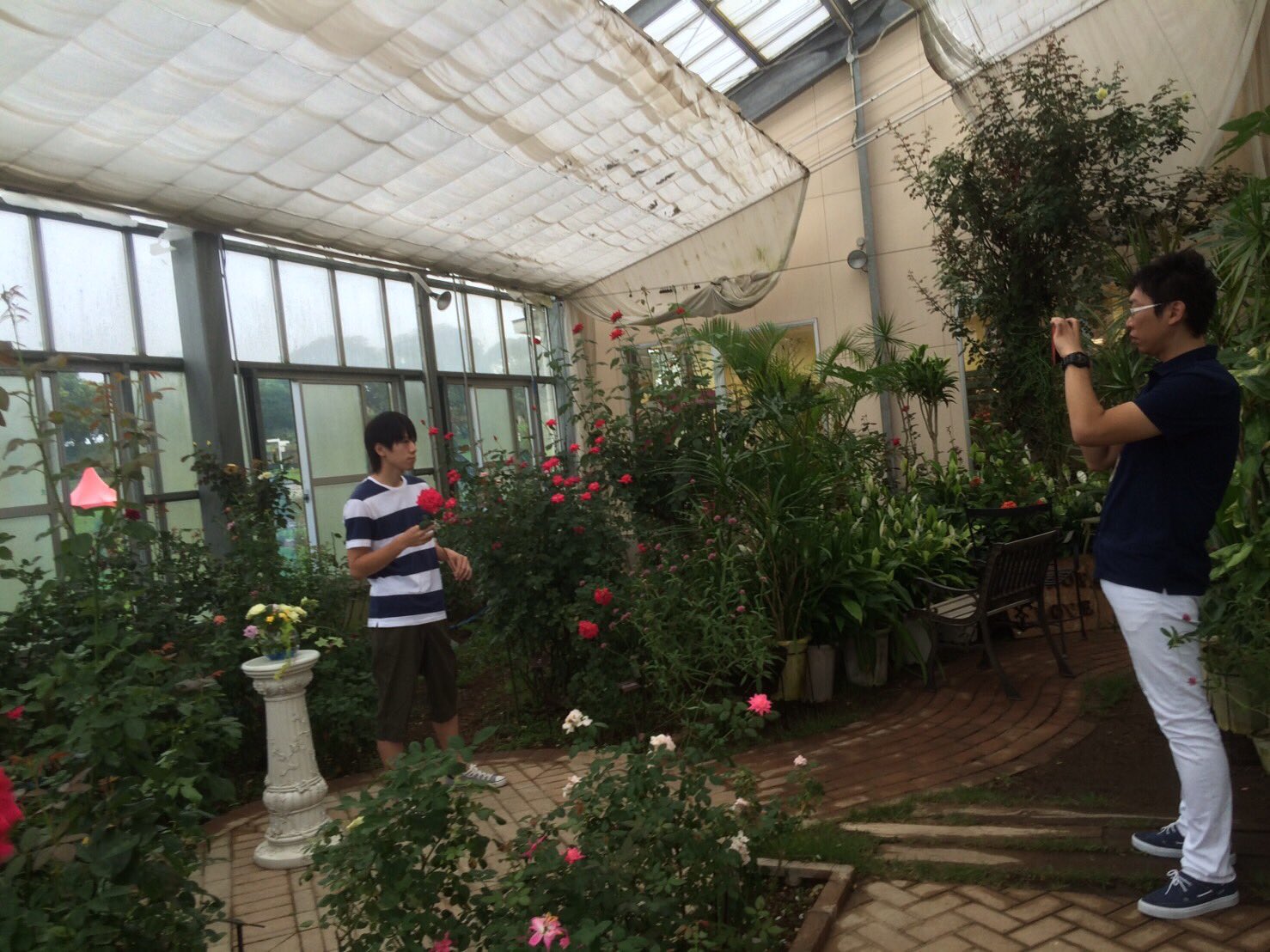 かのや薔薇王子 Kanoyabaraoji Twitter