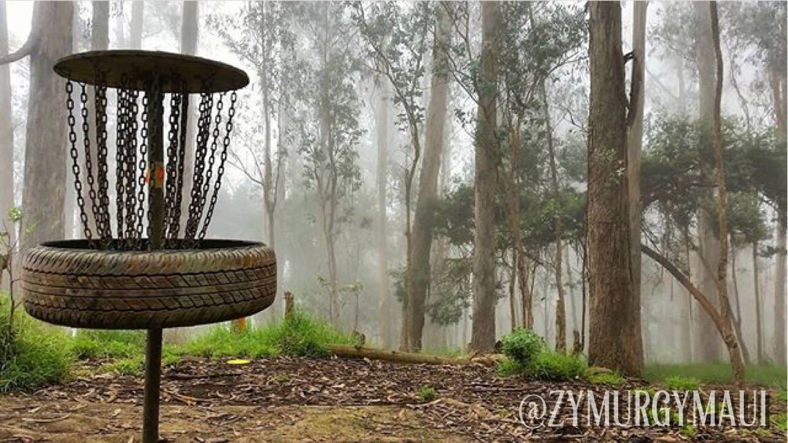 MindBodyDisc's tweet photo. It's Friday! Time for some #MBDFridayFeature pics! Follow these folks on Instagram! #discgolf #discgolfpics https://t.co/oSV78jwfIK
