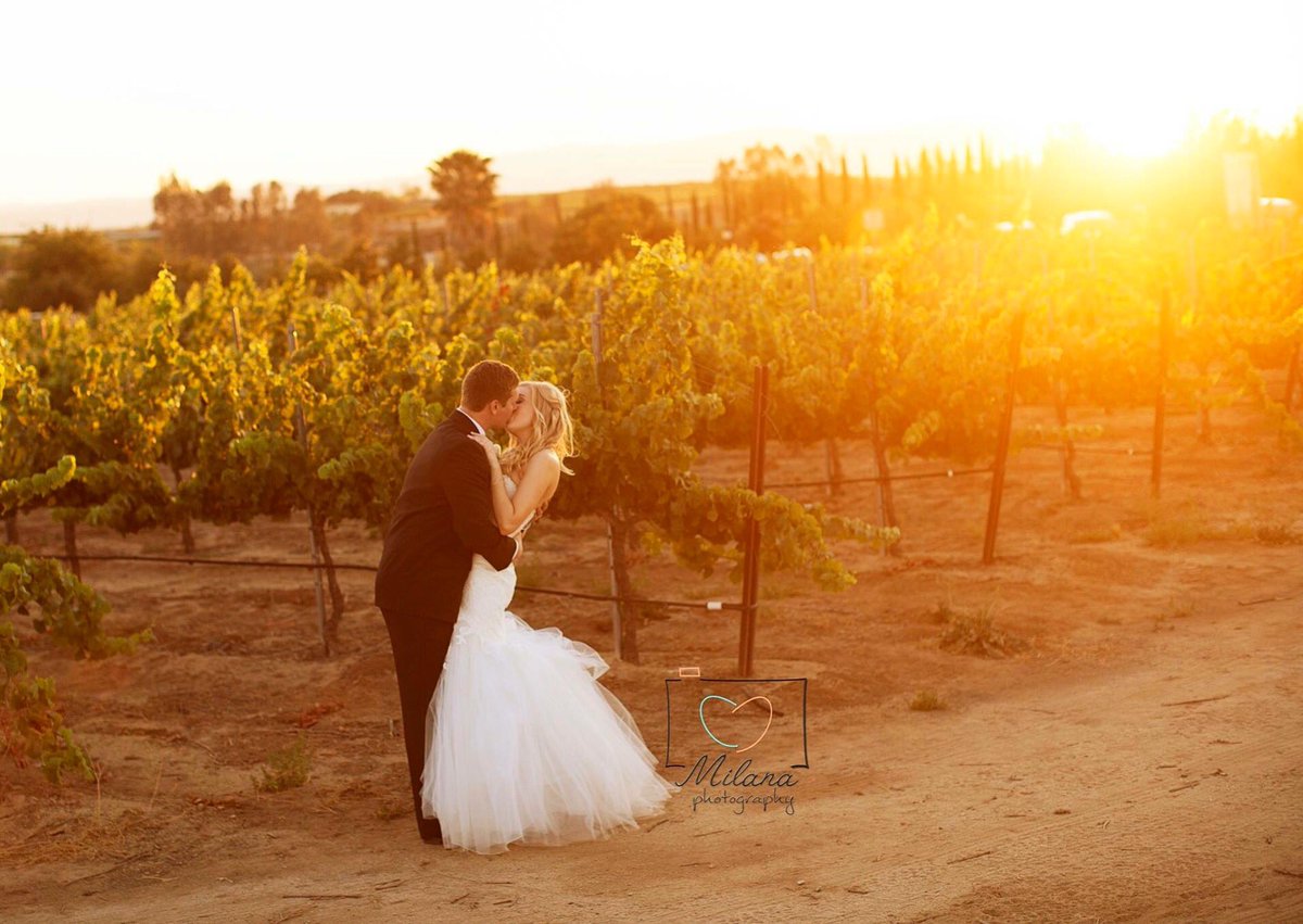 MilanaPhotog's tweet photo. ROMANCE!!! #milanaphotography #wedding #mountpalomarwinery #winery #temecula #ocweddingphotographer #ocwedding #love https://t.co/DkAbud0H5k