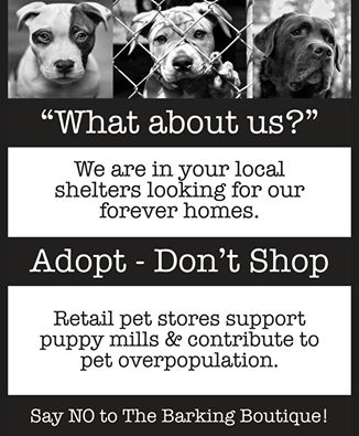 NO BARKING BOUTIQUE AT WOODLAND MALL