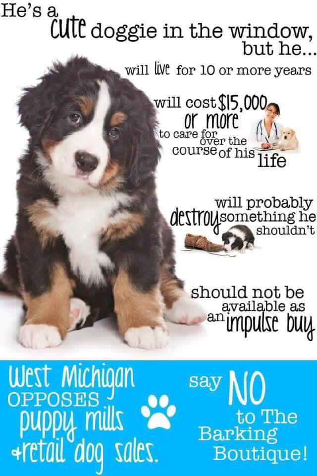 iamchickenhuff's tweet photo. NO BARKING BOUTIQUE AT WOODLAND MALL https://t.co/qxMFQNlIRo