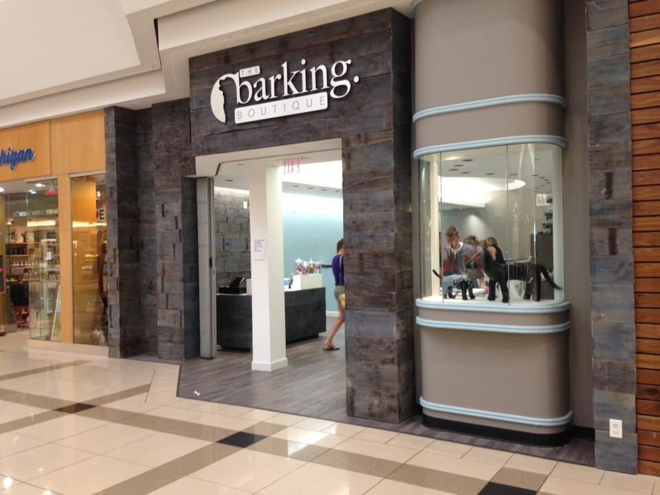 PLEASE SIGN AND HELP MAMA STOP THE BARKING BOUTIQUE

thepetitionsite.com/121/957/639/de…
