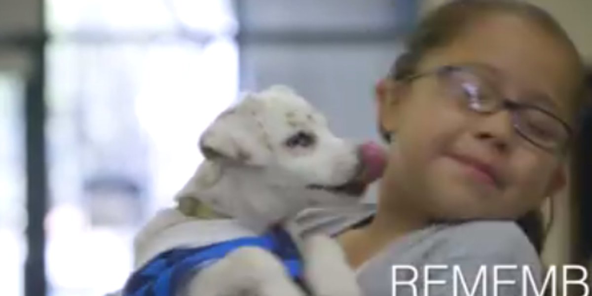 HuffPost's tweet photo. Awww. 😍 Deaf girl teaches sign language to her rescue pooch who's also deaf https://t.co/h4MW0xHl23 https://t.co/q9a0SQUfB9