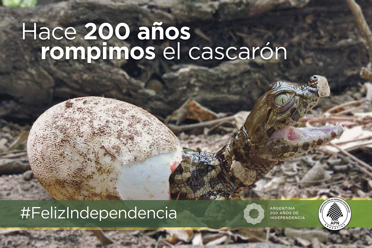 #FelizIndependencia #200años