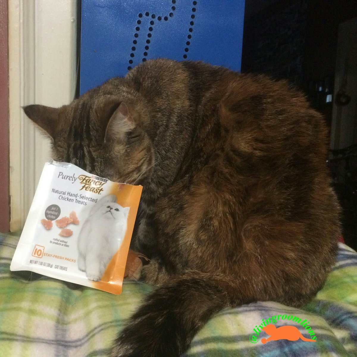 livingroomlions's tweet photo. Well done @FancyFeast. These new treats are so delicious. Can you make a bag my head fits in? #PurelyFancyFeast https://t.co/erDx9UVNlm