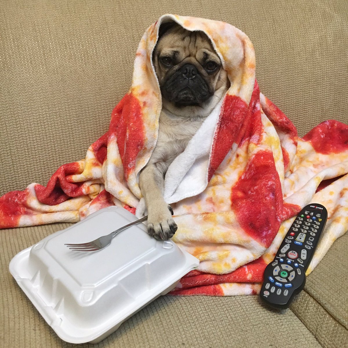 itsdougthepug's tweet photo. When u get locked out of Netflix and realize ur ex finally cut u off https://t.co/CnPonQDgON