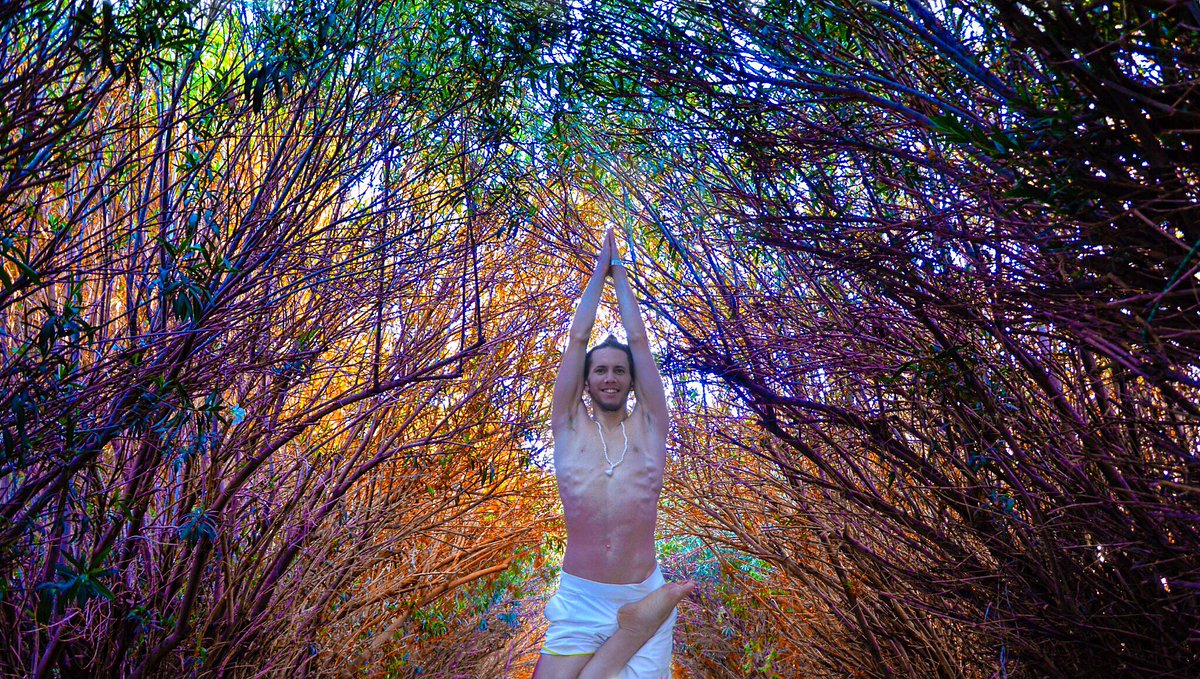 onefirefest's tweet photo. Jared doing tree among the trees. Photographer: Jaclyn Smith. #savethetrees #keepthefireburning https://t.co/K81w8lxnbw