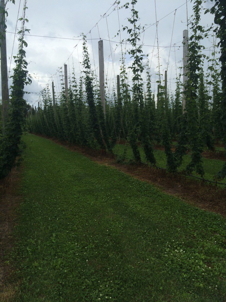 Jed Colquhoun tweet media