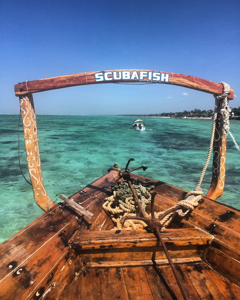 Throwback to a few weeks ago diving in Zanzibar with <a href="/Scubafish_Zanzi/">SCUBAFISH Zanzibar</a> #nofilter #diving #beachlife #happynomad