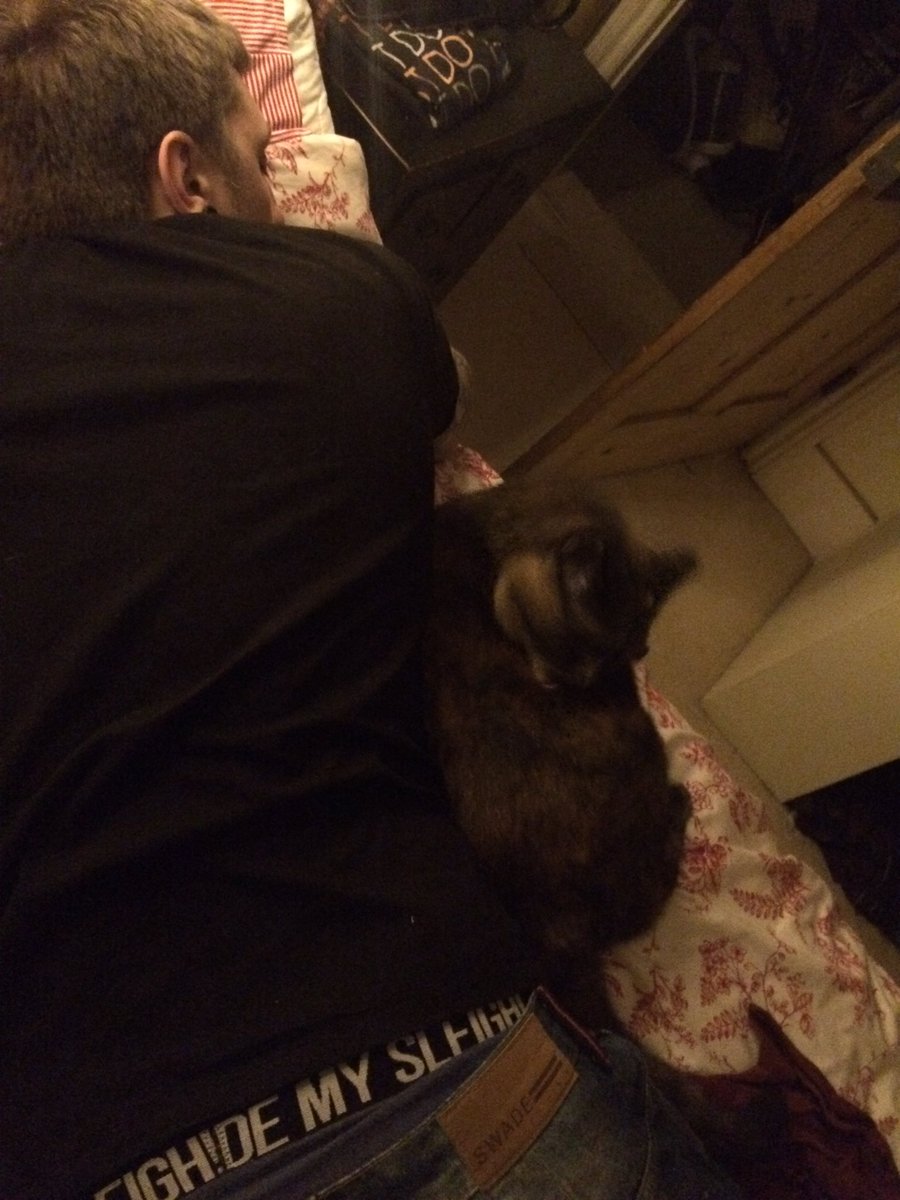 Ginger_Crinkle's tweet photo. Now the cat and the wired one are spooning...
It's a #3WayRelationship https://t.co/OxzoZeBp0u
